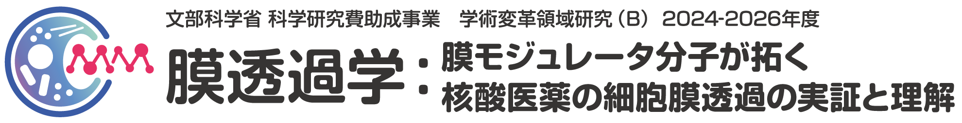 膜透過学：膜モジュレータ分子が拓く核酸医薬の細胞膜透過の実証と理解